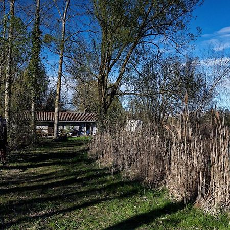 Espace Nature Studio Independant Proche Du Parc Des Oiseaux Sainte-Olive Exteriör bild