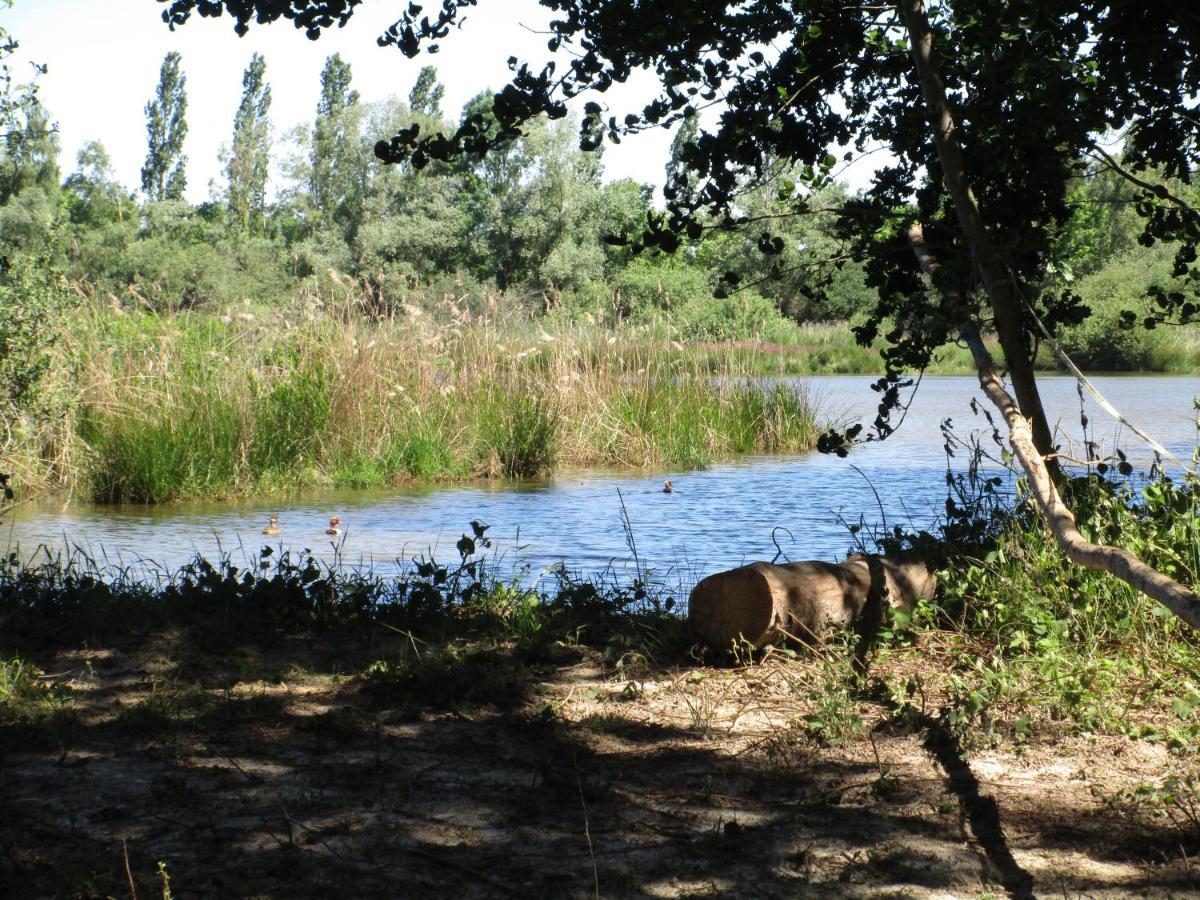 Espace Nature Studio Independant Proche Du Parc Des Oiseaux Sainte-Olive Exteriör bild