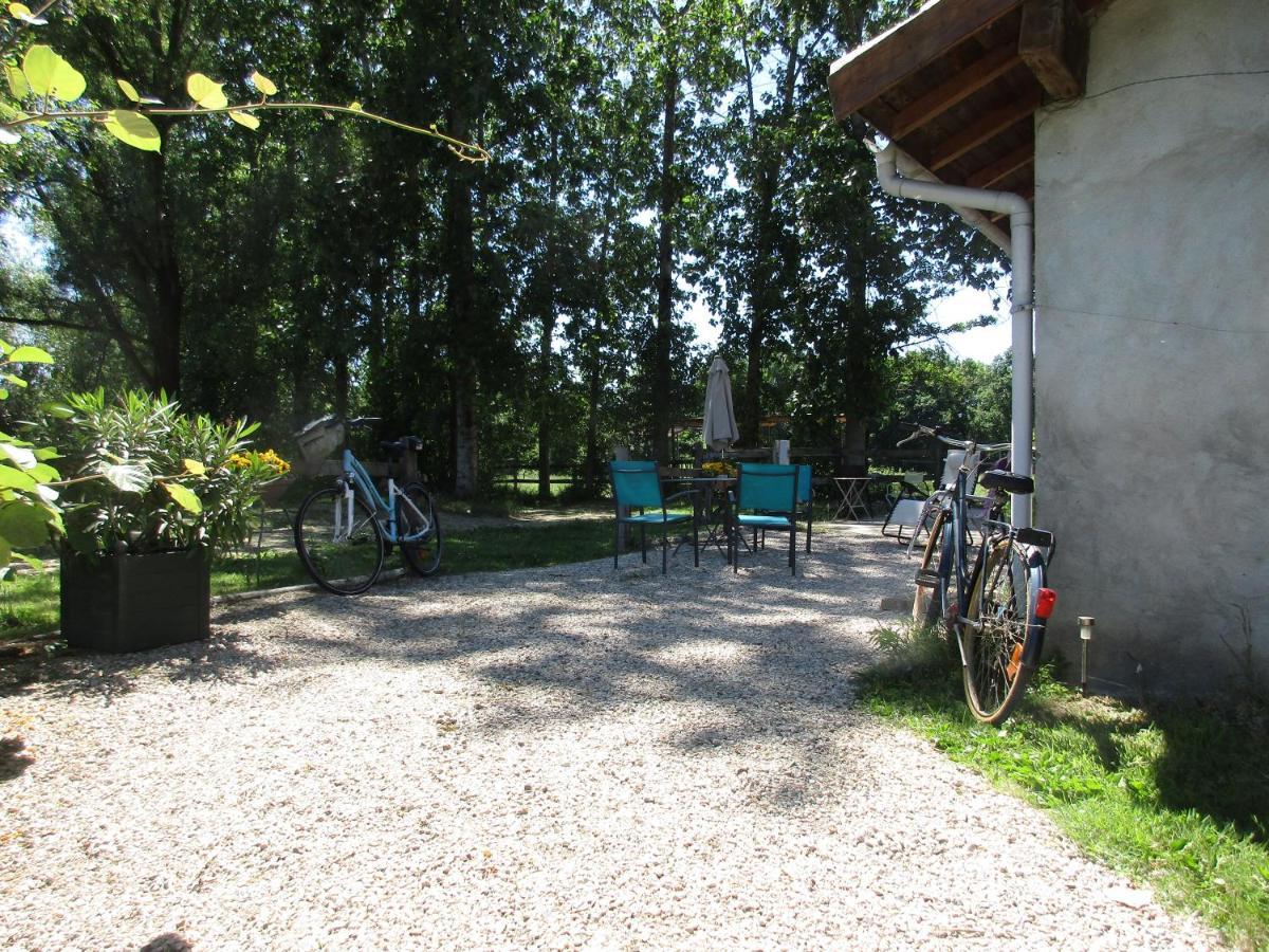 Espace Nature Studio Independant Proche Du Parc Des Oiseaux Sainte-Olive Exteriör bild